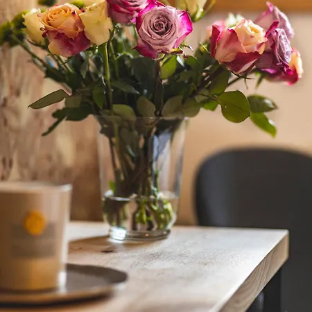 Kulna Pensionat Senetarov