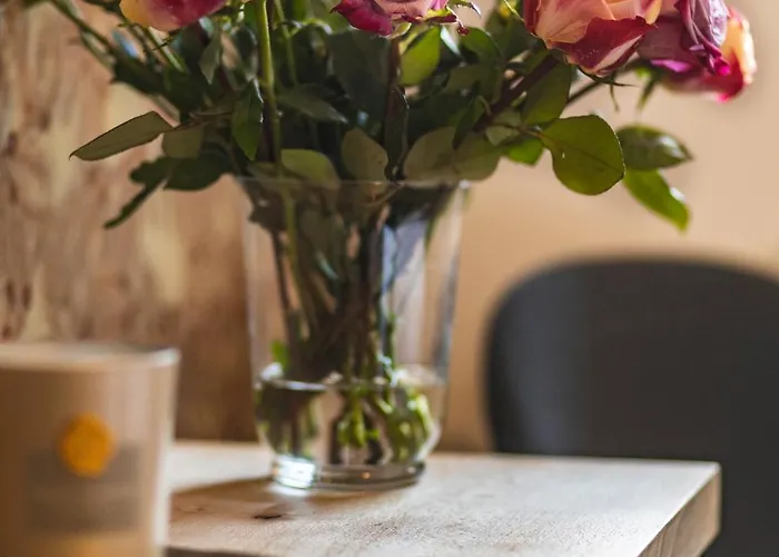 Kulna ゲストハウス Senetářov